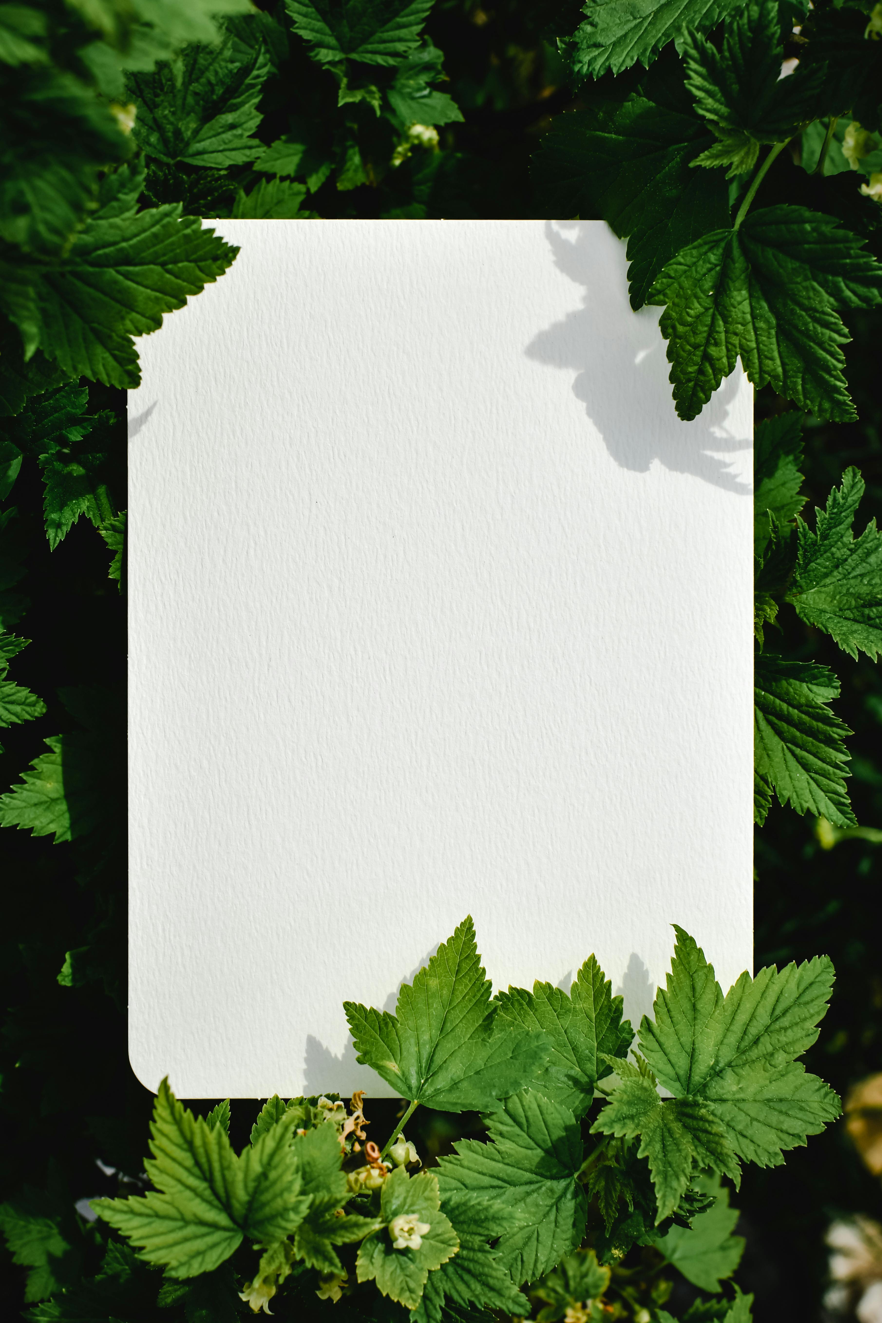 Innovation and technology in compostable bag production at Greenco Terrapack