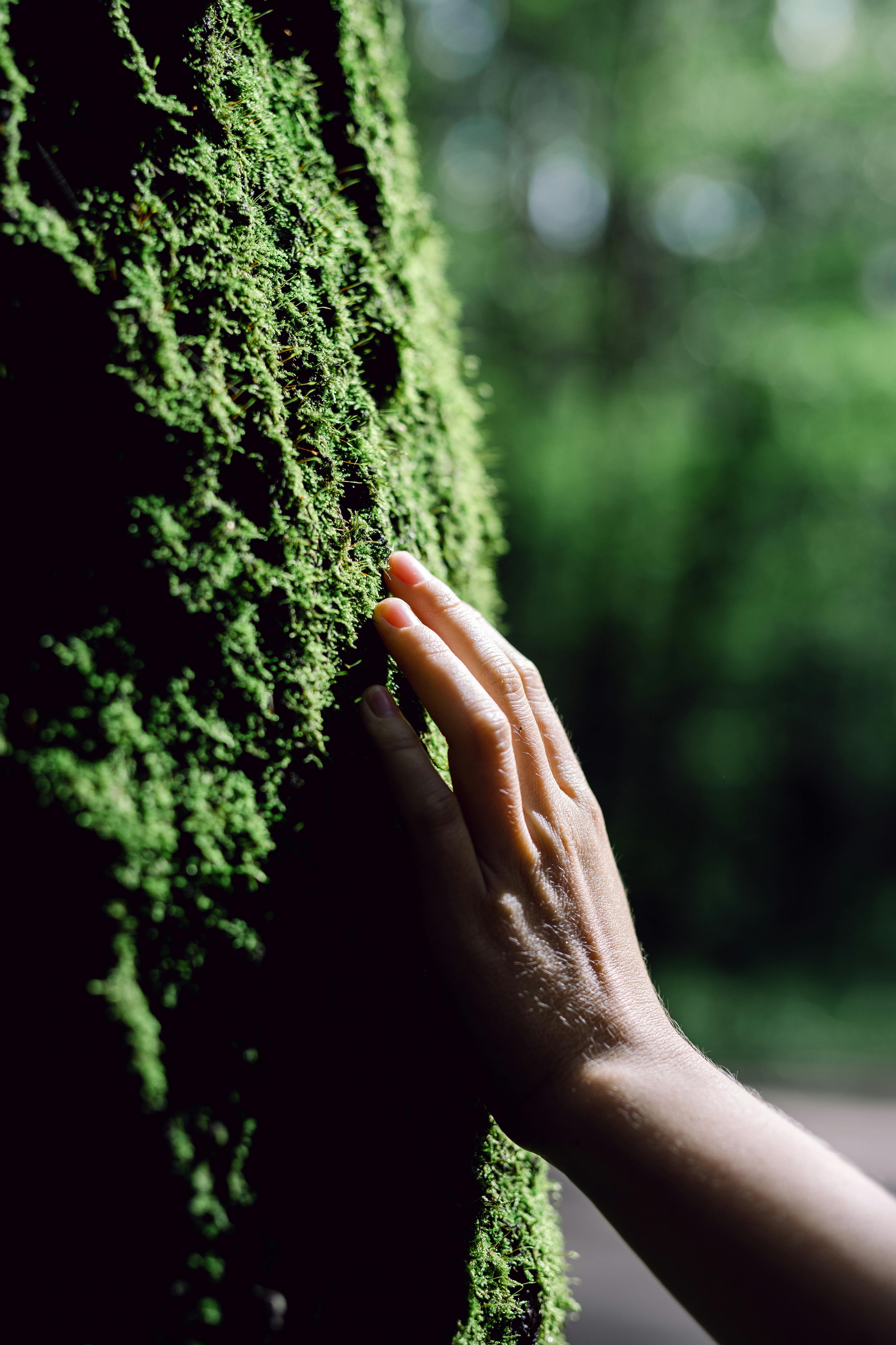 Eco-friendly compostable packaging supporting a plastic-free future