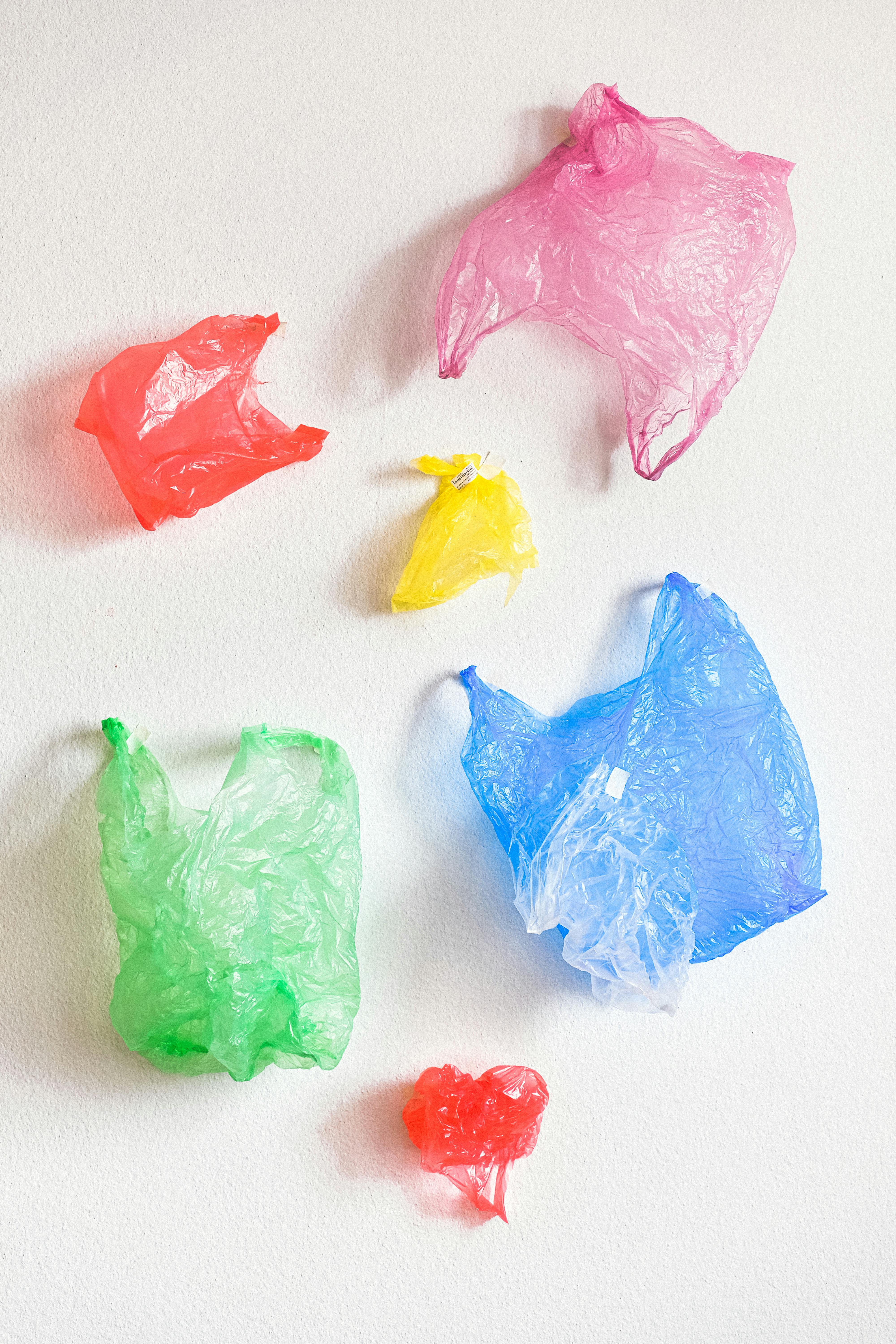 Plastic bag pollution